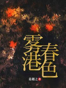 雾港是什么意思