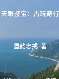 天眼 古玩