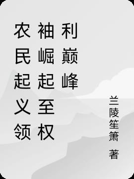 从农民到将军电影