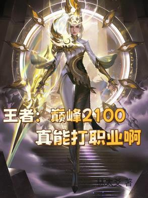 王者巅峰2100真能打职业啊