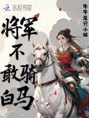 将军不下马的锁