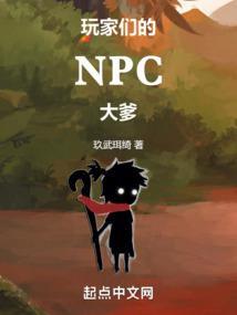 npc和玩家的区别