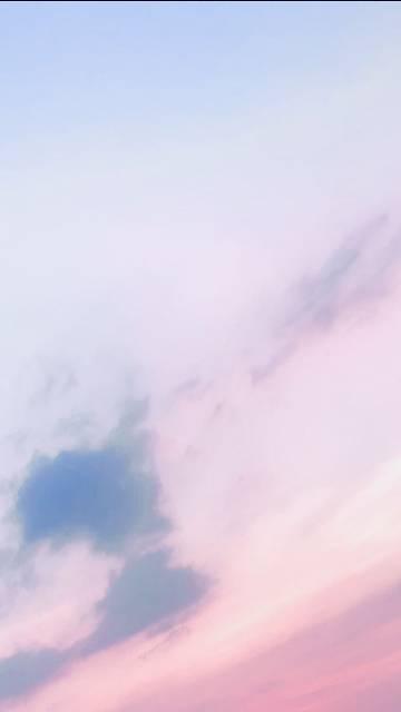 玫瑰雾txt资源