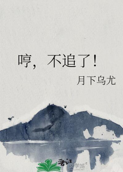 不追了的说说