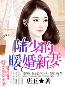 陆少的暖婚新妻全文免费阅读妻