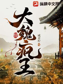大魏霸主免费阅读