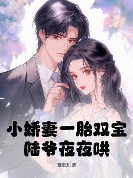 小娇妻一胎双宝陆爷夜夜哄